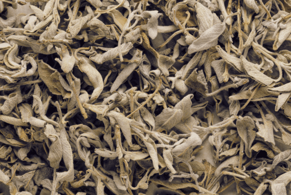 Tørret salvie / meramieh er meget mere end blot en urt i Palæstina