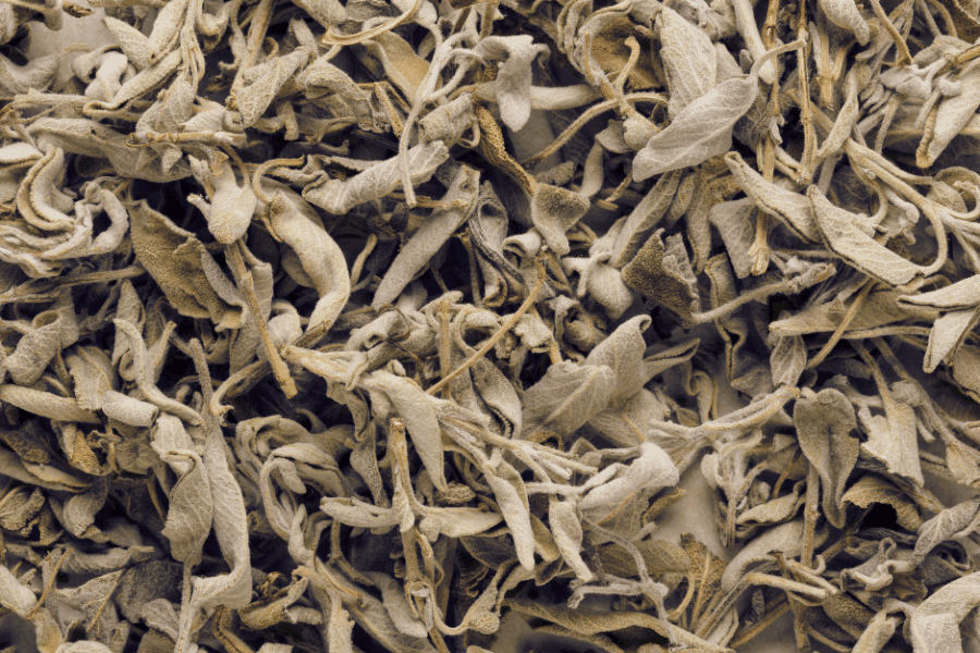 Tørret salvie / meramieh er meget mere end blot en urt i Palæstina