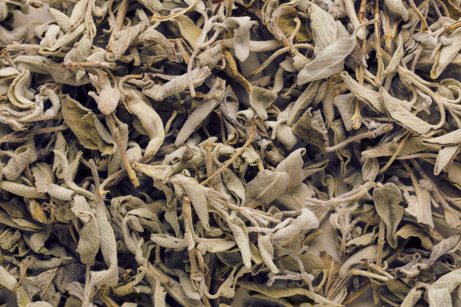 Meramieh – meget mere end blot en urt