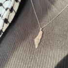 Halskæde | Palestine map with old city | Sølv Halskæde | Palestine map with old city | Sølv