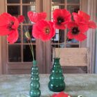 Håndlavet papirvalmue i crepepapir. Inspireret af Palæstinas nationalblomst