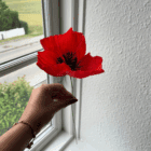 Håndlavet papirvalmue i crepepapir. Inspireret af Palæstinas nationalblomst