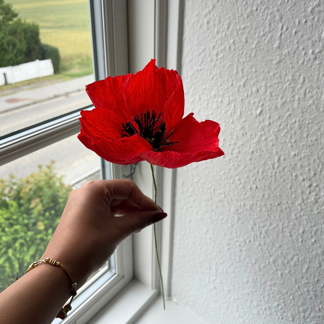 Håndlavet papirvalmue i crepepapir. Inspireret af Palæstinas nationalblomst