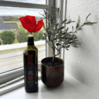 Håndlavet papirvalmue i crepepapir. Inspireret af Palæstinas nationalblomst