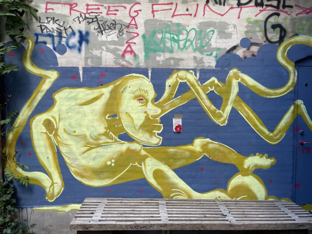 Hæklede valmuer for børn i Gaza