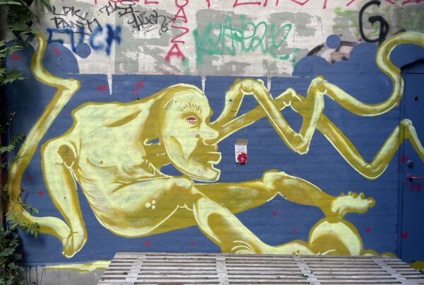 Hæklede valmuer for børn i Gaza