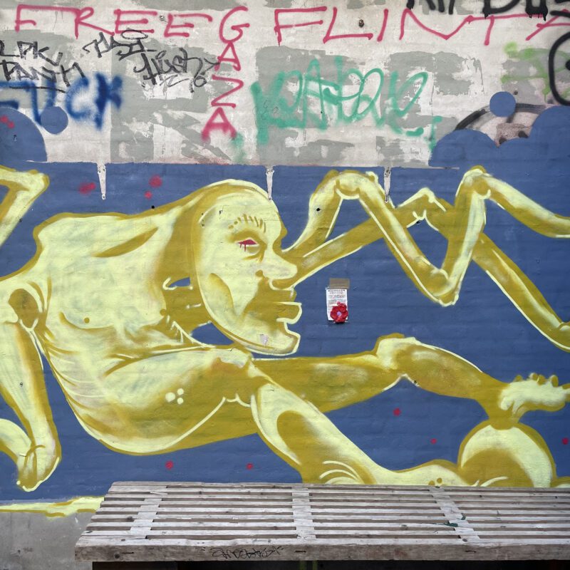 #ValmueBarn – Valmuer for børnene i Gaza